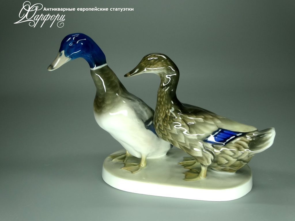 Купить фарфоровые статуэтки Rosenthal, Пара уточек, Германия